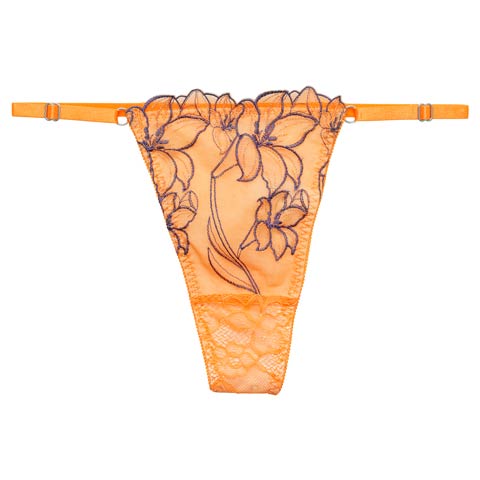 4/1新作!【永尾まりや着用】【Reinest】グラマラスビビッドブロッサムバック透け選べるショーツ[おそろいショーツ](オレンジ/Tバック-M)