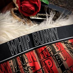 【WhipBunny】Stripeメンズパンティ