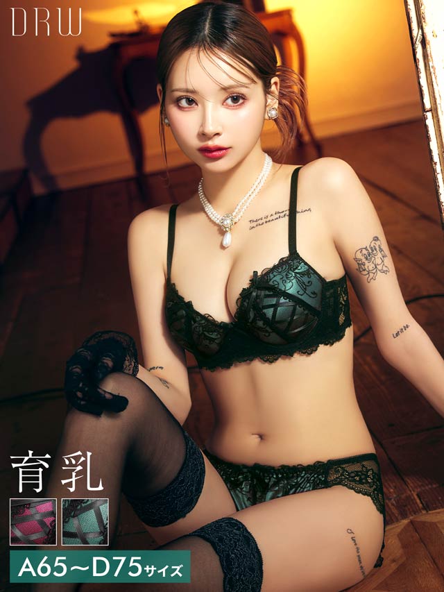 ゴシックスピンドルリボン育乳脇高ブラジャー&バック透けフルバックショーツ