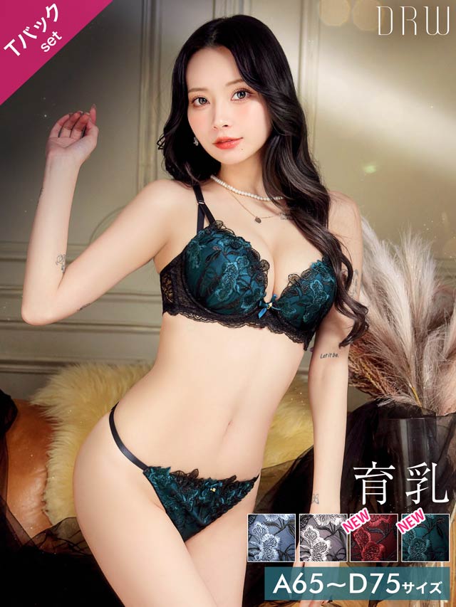 ダスティブルームエンブロイダリー育乳脇高ブラジャー&バック透けTバックショーツ