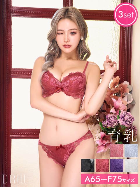 【3点セット】マジックアップブラジャー&フルバックショーツ&Tバックショーツ