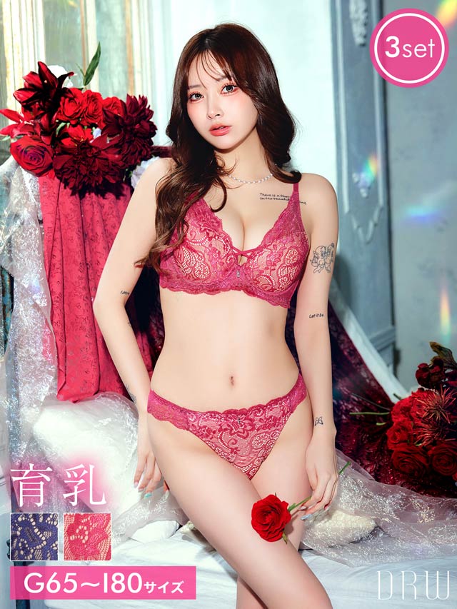 【3点セット】【GHIサイズ】アリュールレースコード育乳脇高ブラジャー&バック透けフルバック&Tバックショーツ
