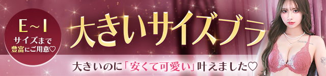 大きいサイズの可愛い下着特集