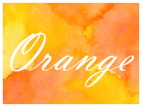 ブラ/オレンジ