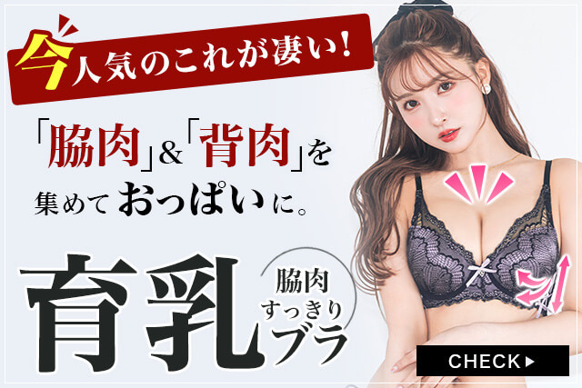 育乳ブラ セクシーランジェリー