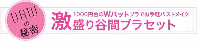 激盛りブラセット