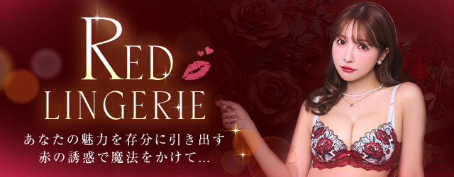 赤い下着,赤,REDランジェリー,勝負下着,クリスマス,下着・ランジェリー通販のDRW (ドロー)