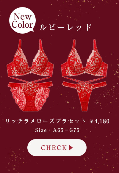 シアープリーツブラセットシアーグレー