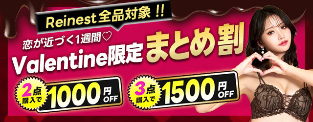 レイネスト3点で1500円OFF