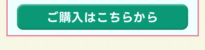 チェックボタン