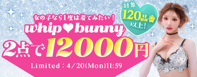 whipbunny2点12000円