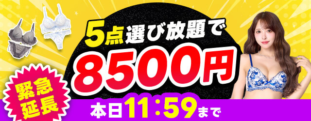 5点8500円