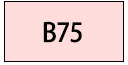 B75サイズ